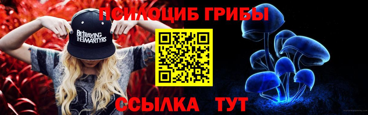 Родники  Псилоцибиновые грибы ЛСД  Псилоцибиновые грибы мицелий  Вход с VPN 