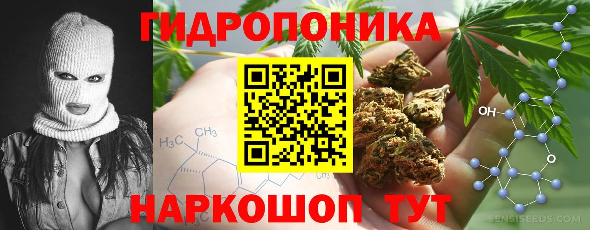 Бошки марихуана тримм  Вход с VPN  Родники  Канабис планчик  Марихуана MAZAR 